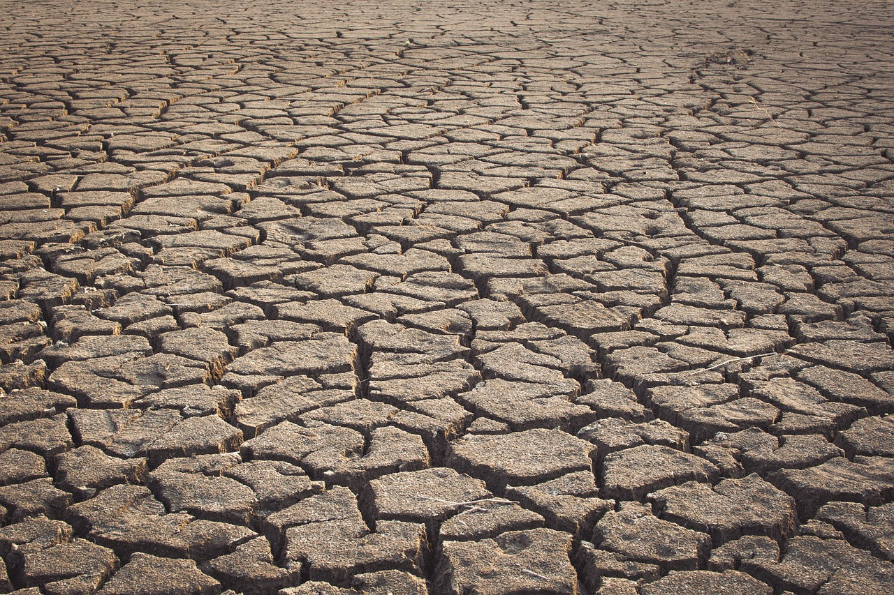 Dry cracked ground